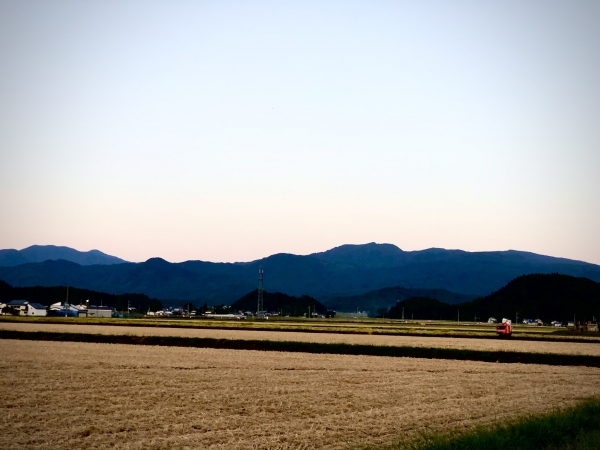 あきたこまち　美郷町　新米の収穫